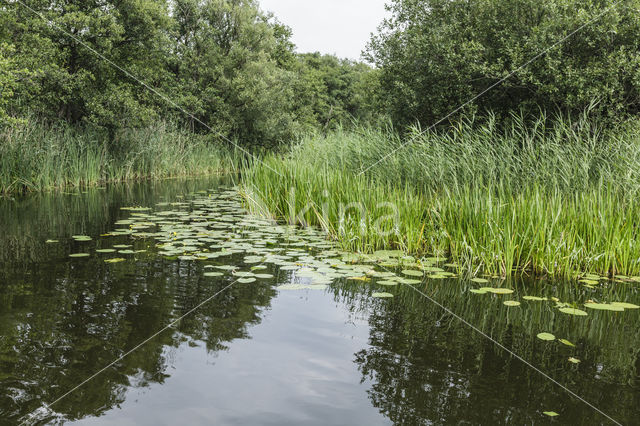 Naardermeer