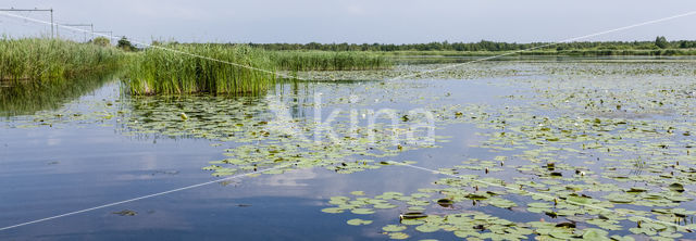 Naardermeer