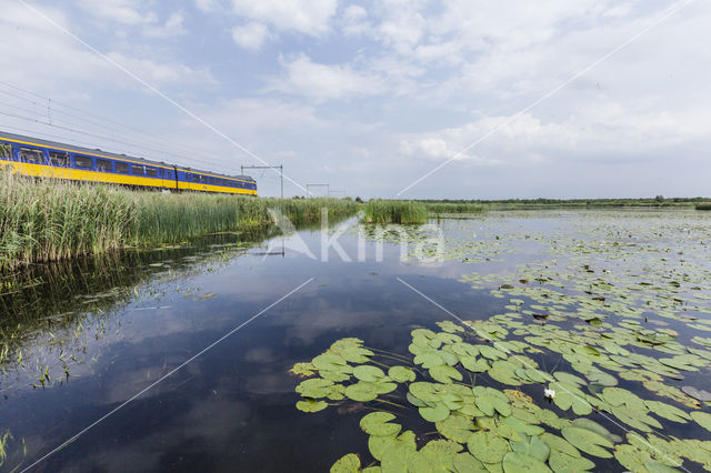 Naardermeer