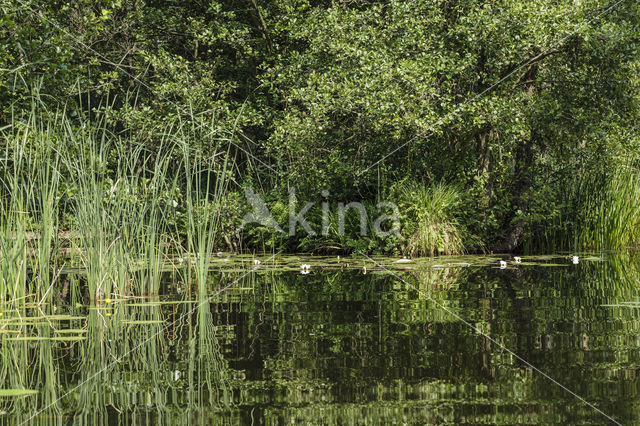 Naardermeer