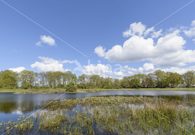 Lagieskamp Naardermeer