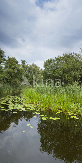 Naardermeer