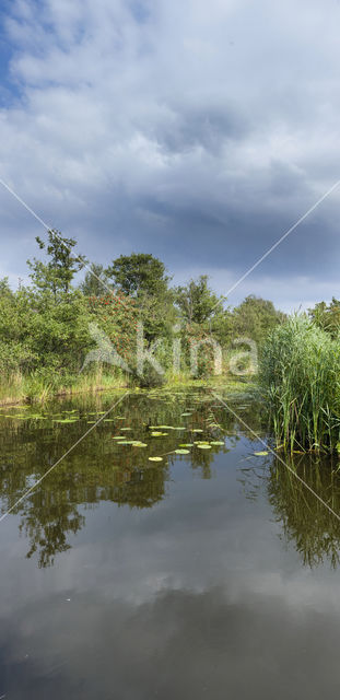 Naardermeer