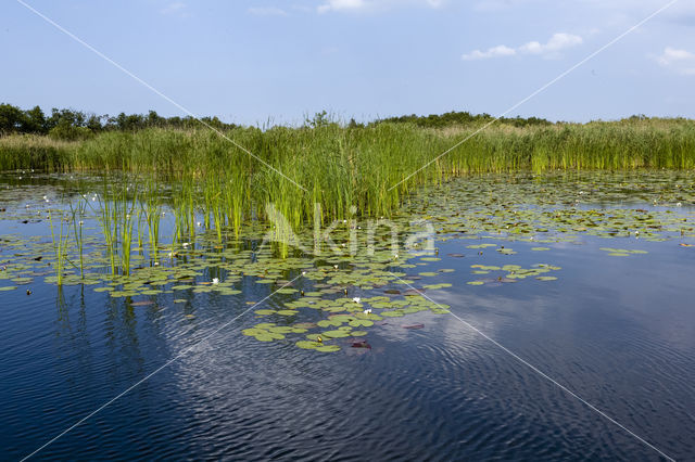 Naardermeer