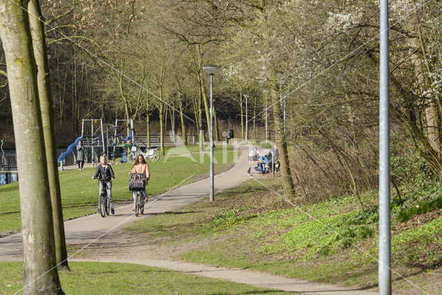 cycle path