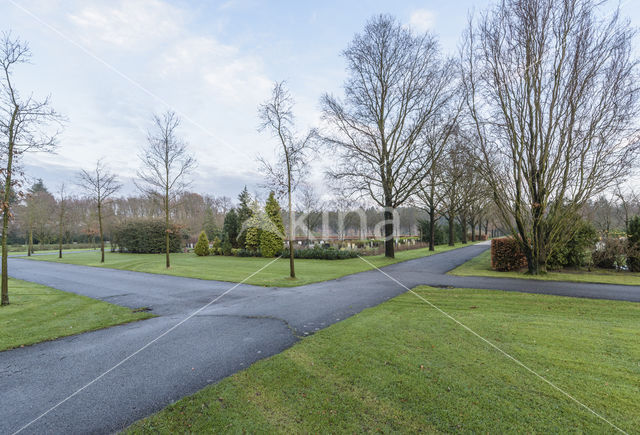 Cemetery Zuiderhof