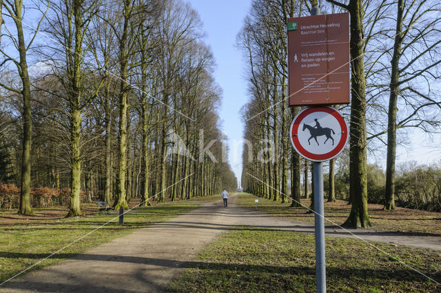 Baarnse Bos