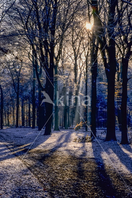 Hooge Vuursche