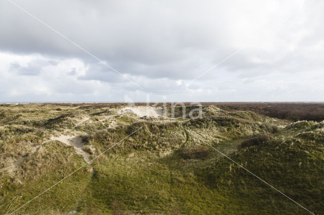 National Park Schiermonnikoog