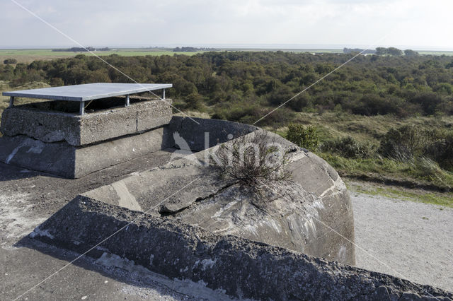 National Park Schiermonnikoog