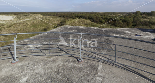 National Park Schiermonnikoog