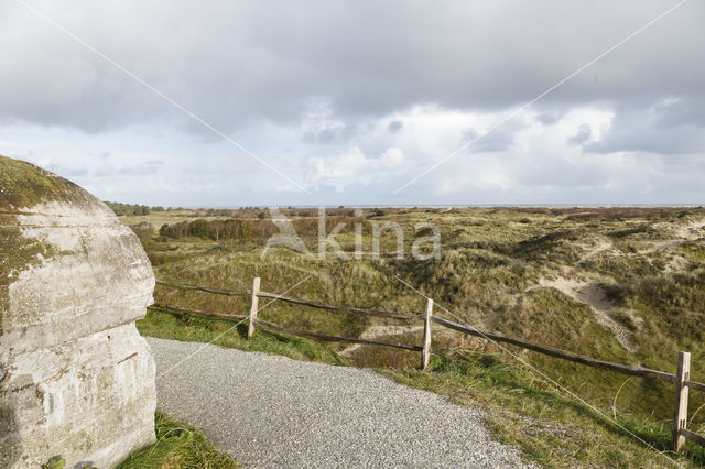 National Park Schiermonnikoog