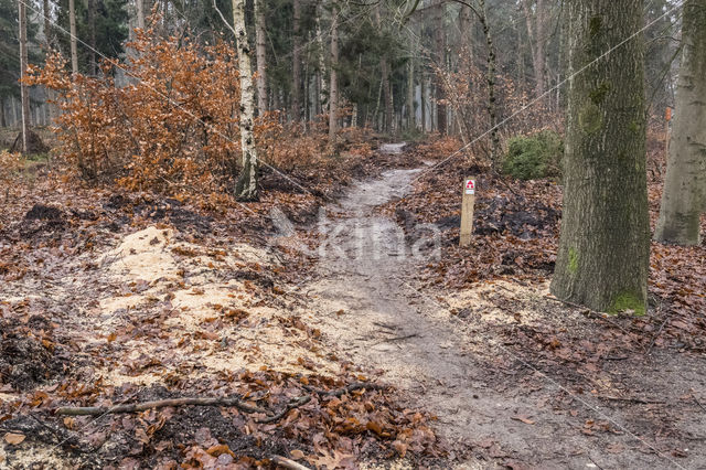 Lage Vuursche