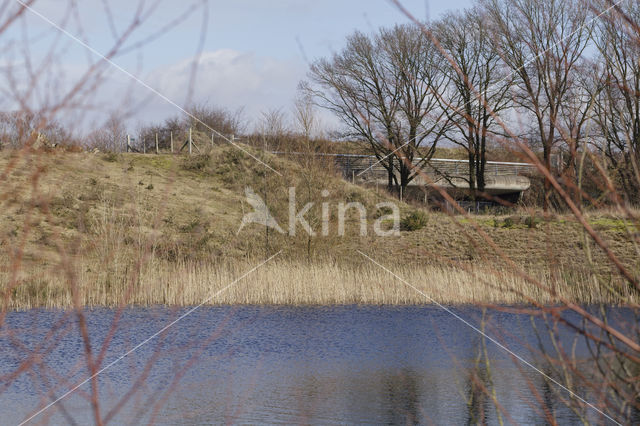 Natuurbrug Zanderij Crailo