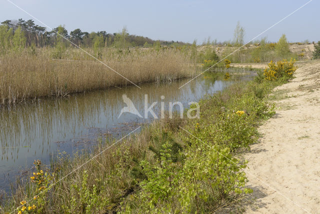 Natuurbrug Zanderij Crailo