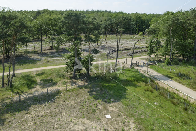 Natuurbrug Zanderij Crailo