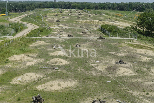 Natuurbrug Zanderij Crailo