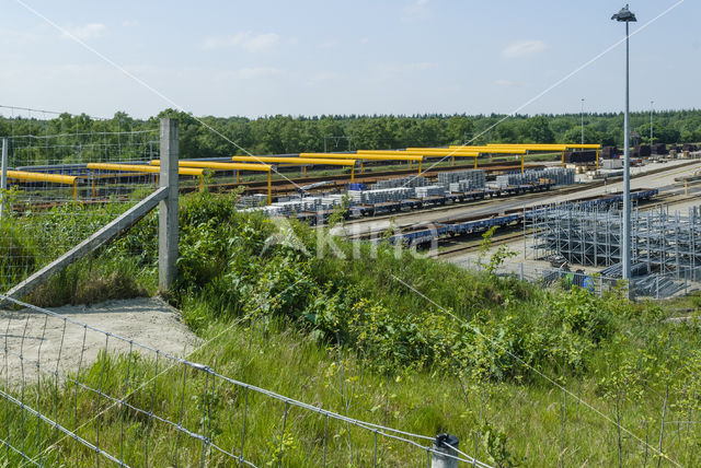 Natuurbrug Zanderij Crailo