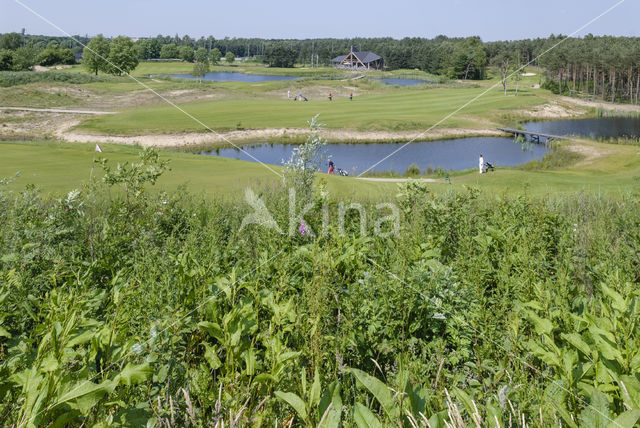 Natuurbrug Zanderij Crailo