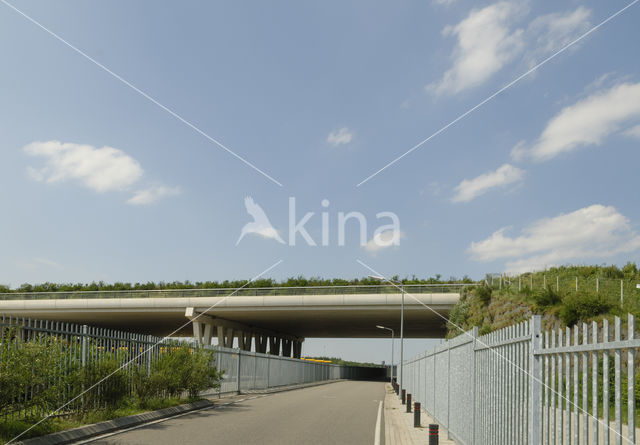 Natuurbrug Zanderij Crailo