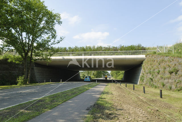 Natuurbrug Zanderij Crailo