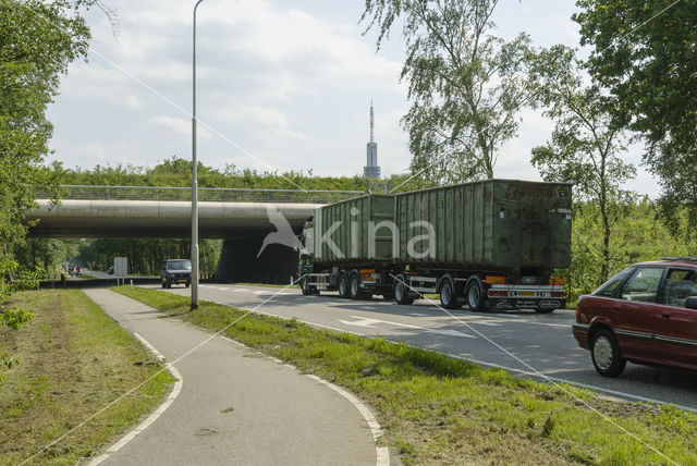 Natuurbrug Zanderij Crailo