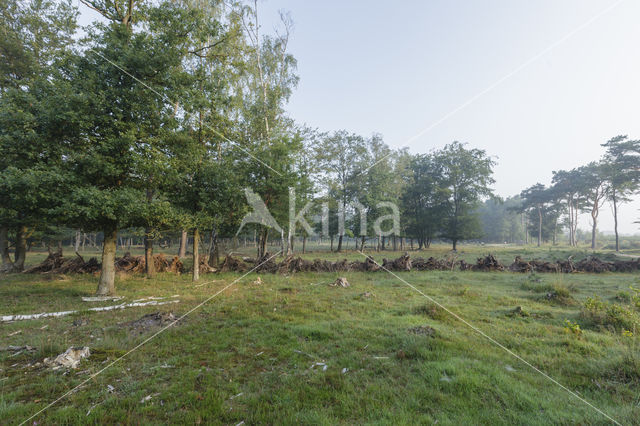 Natuurbrug Zanderij Crailo