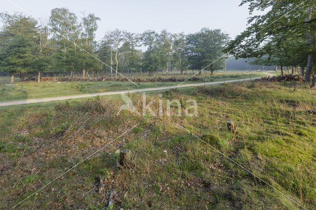 Natuurbrug Zanderij Crailo