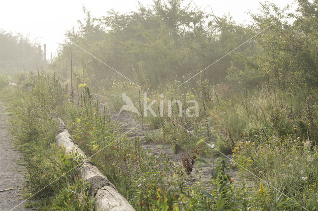 Natuurbrug Zanderij Crailo