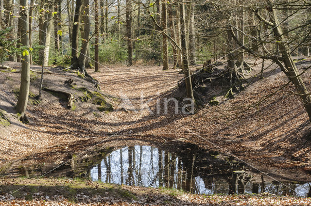 Lage Vuursche