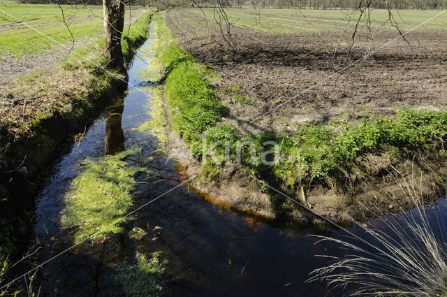 Lage Vuursche