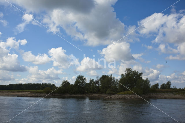 IJssel uiterwaarden