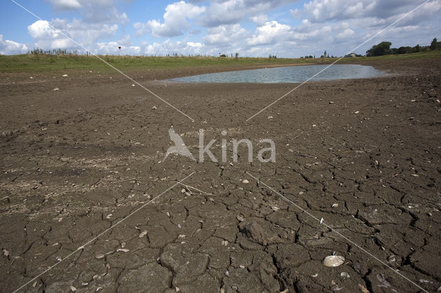 IJssel uiterwaarden