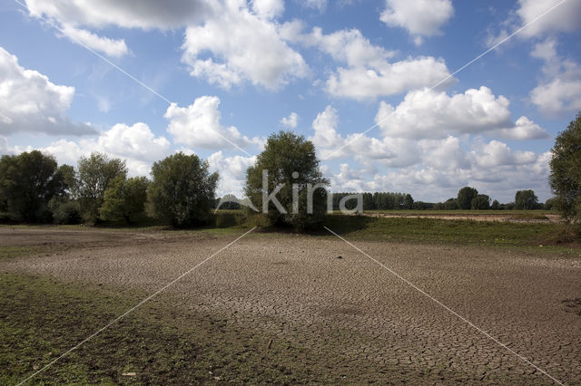 IJssel uiterwaarden