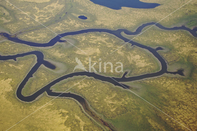 Indigirka Delta