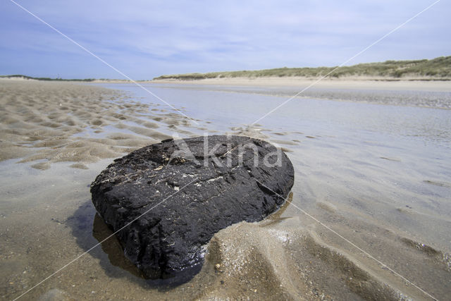 Northsea beach