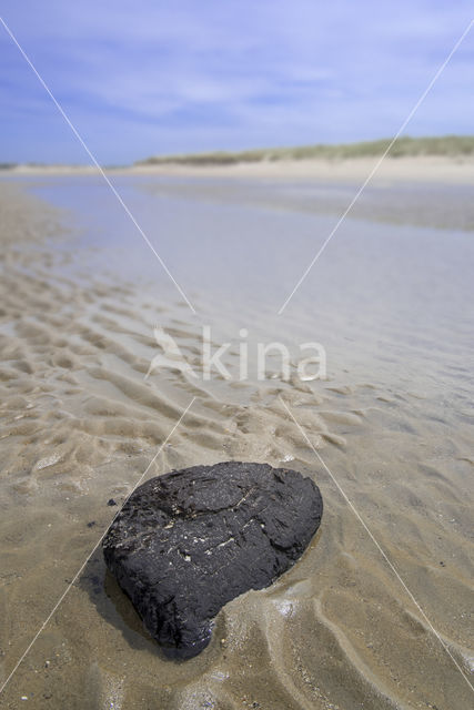 Northsea beach