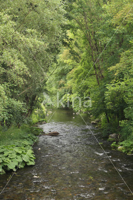 Elbingerode (Harz)