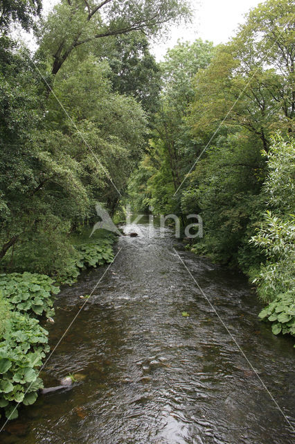 Elbingerode (Harz)