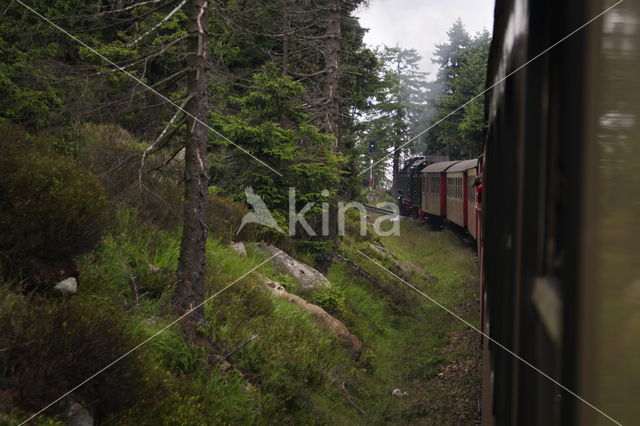 Harz National park