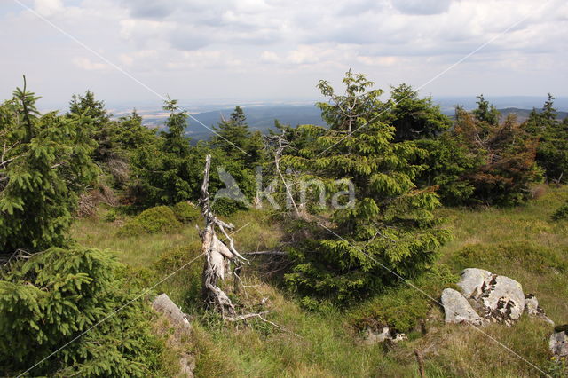 Harz National park