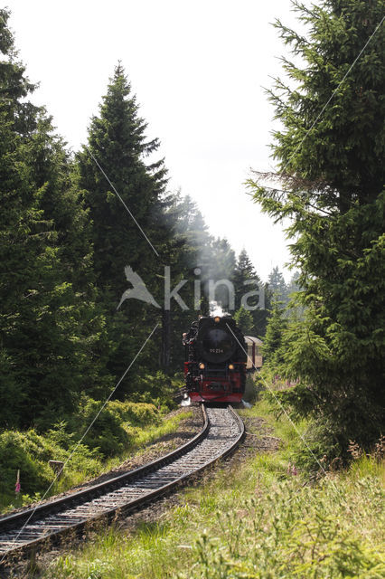 Nationalpark Harz