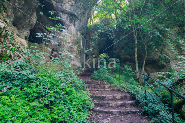 Eifel National park