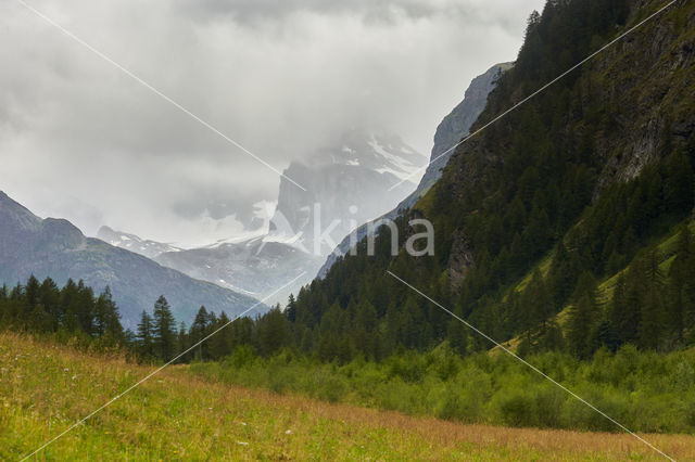 Aosta Gran Paradiso National Park