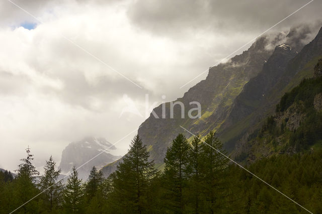 Aosta Gran Paradiso National Park