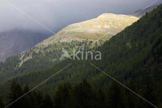 Aosta Gran Paradiso National Park