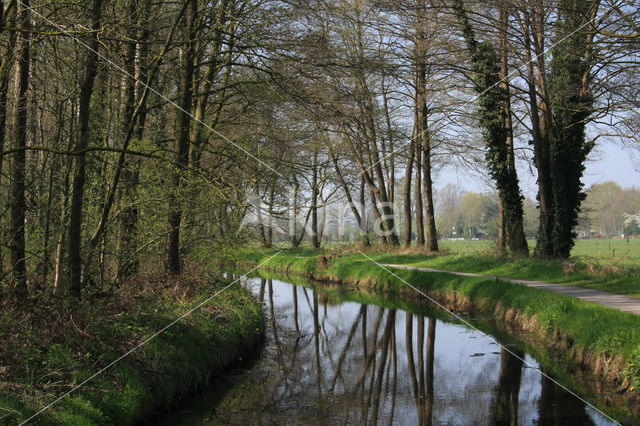 Beekbergerwoud