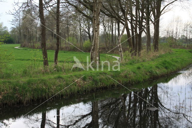 Beekbergerwoud