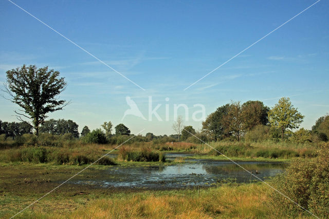 Empese en Tondense Heide