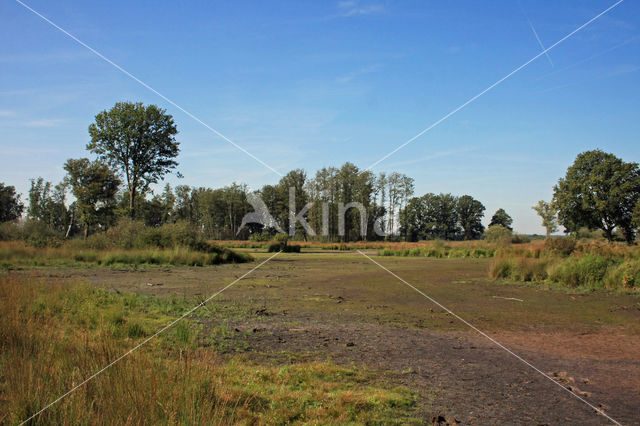 Empese en Tondense Heide